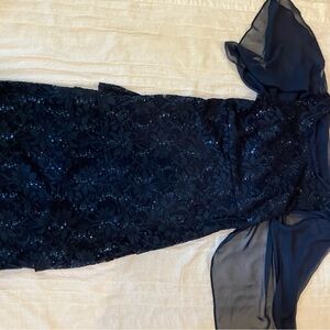 Elegant Navy Lace Dress with Sheer Sleeves